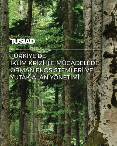 Türkiye’de İklim Krizi ile Mücadelede Orman Ekosistemleri ve Yutak Alan Yönetimi