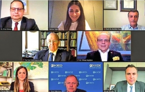Kamu Düzenleme Kalitesi webinarı düzenlendi