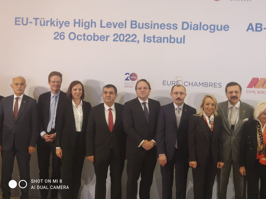 TÜSİAD Yönetim Kurulu Başkan Yardımcısı Serpil Veral “AB – Türkiye Yüksek Düzeyli İş Dünyası Diyalog Toplantısı”nda bir konuşma yaptı.