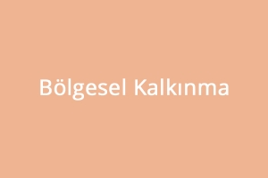 Körfez Çalışma Grubu