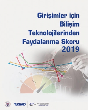 Girişimler İçin Bilişim Teknolojilerinden Faydalanma Skoru 2019