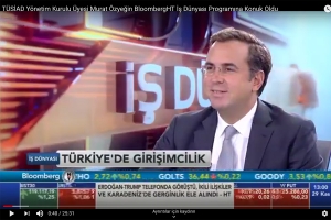 TÜSİAD YÖNETİM KURULU BAŞKAN YARDIMCISI MURAT ÖZYEĞİN  - BLOOMBERGHT RÖPORTAJI