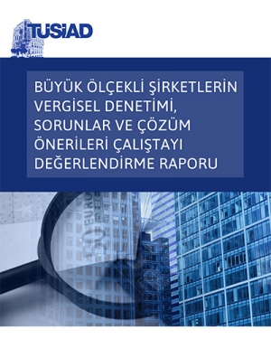 Büyük Ölçekli Şirketlerin Vergisel Denetimi, Sorunlar ve Çözüm Önerileri