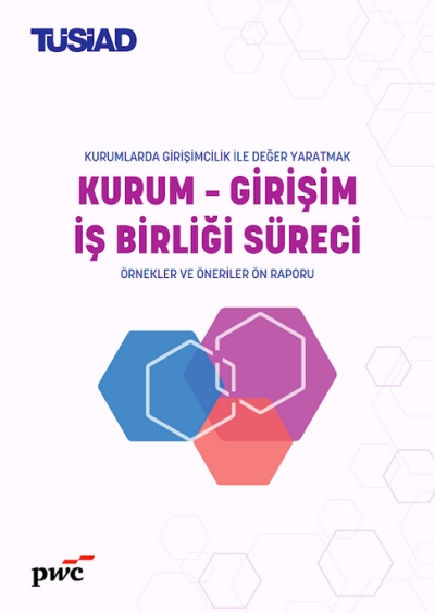 Kurum – Girişim İş Birliği Süreci -Örnekler ve Öneriler Ön Raporu