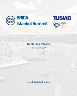 BRICA İstanbul Summit Konferans Raporu